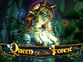 Queen Of The Forest game cover